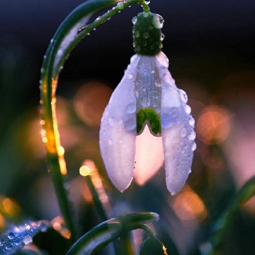  صبح پاشدم اومدن ک چمنامو بزنم تیغ میزدم بابامو که کفش جدید بخرم